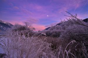 Winterfarben