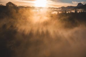 Morgennebel