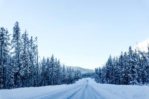 - 25 im Winterwonderland Nationalpark/Ofenpass