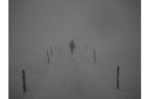 Nebel Nebel
