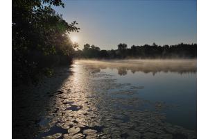 Morgens Am See
