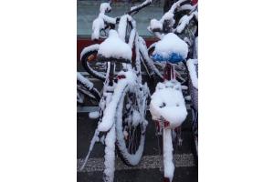Winter in Bern - wo ist mein Velo?