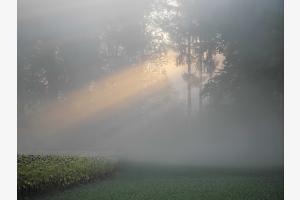 Erste Sonnenstrahlen Erste Sonnenstrahlen