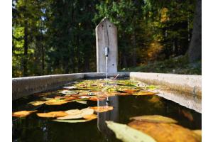 Herbst im Jura