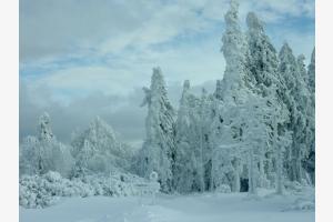 Winterzauber