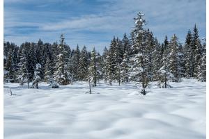 Stille im Schnee Jura Stille im Schnee Jura