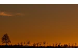 Der Blick zum Horizont Der Blick zum Horizont