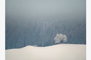 Winterzauber