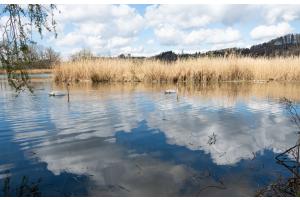 Wohlensee Wohlensee