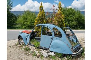 Natur hilft sich selbst