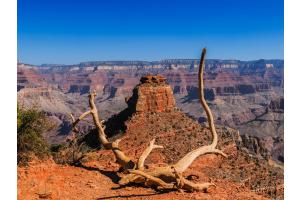 Grand Canyon Grand Canyon