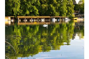 Wohlensee Spiegelungen Fotografiert Wohlensee Spiegelungen Fotografiert
