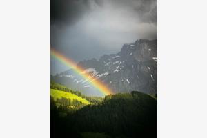 Regenbogen in Nebel Regenbogen in Nebel