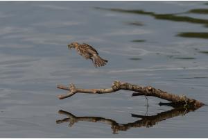 Abflug Abflug