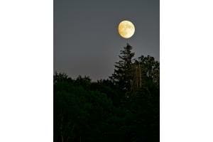 Mond Fotogrfie Mond Fotogrfie