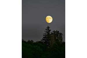 Mond Fotografie Mond Fotografie