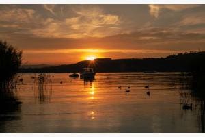 Murtensee Murtensee