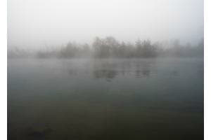 Wohlensee im Nebel Wohlensee im Nebel
