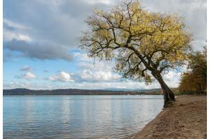 Murtensee