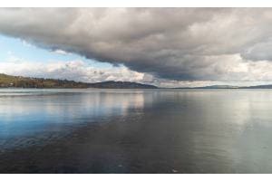 Murtensee Murtensee