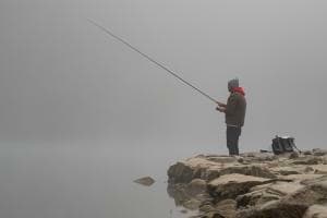 Fischen im Nebel Fischen im Nebel