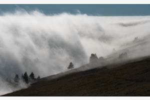 Nebel vom Tal Nebel vom Tal