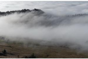 Nebel