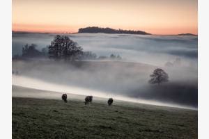 nebel nebel