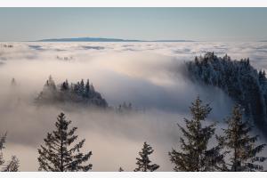 Nebelmeer vom Napf Nebelmeer vom Napf