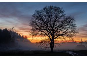 Abendstimmung Abendstimmung