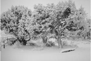 Winterzauber im Grand Canyon