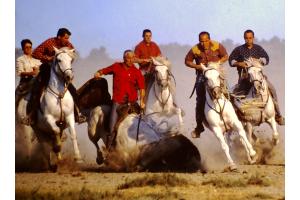 Camargue bekannt für wilde Reiterspiele