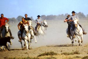 Wilde Jagd in der Camargue