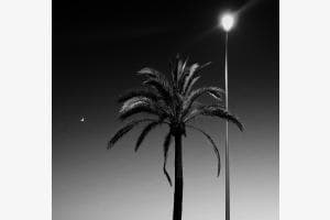 Palmo, Mond und Latern