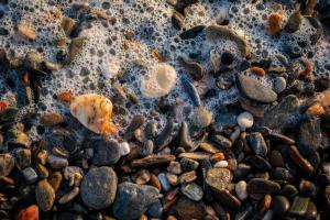 Pebble Beach Pebble Beach