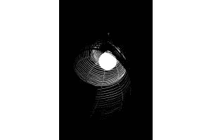 Lampe