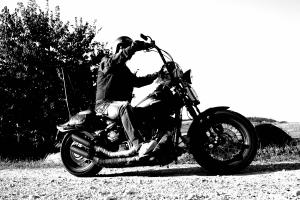 Born to be wild Born to be wild