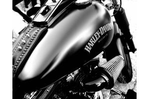 Harley Davidson Harley Davidson