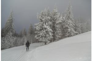 Wintersport im Gurnigel