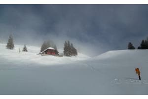Schneehöhe gut