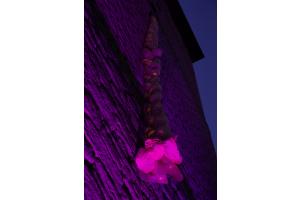 Rapunzel