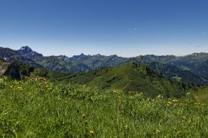 Bergsommer