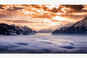 ALPINE DREAM