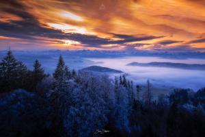 FROZEN SUNRISE