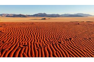 Spuren im Sand