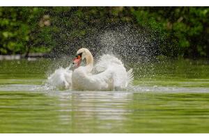 Spass im Wasser Spass im Wasser