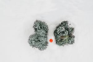 Ein Männlein steht im Walde Ein Männlein steht im Walde