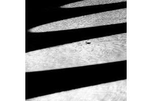 Brückenschatten Brückenschatten