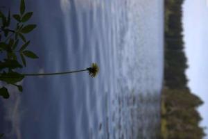 Blick in die Weite
