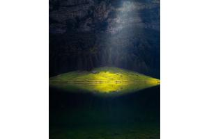 SeealpSEE